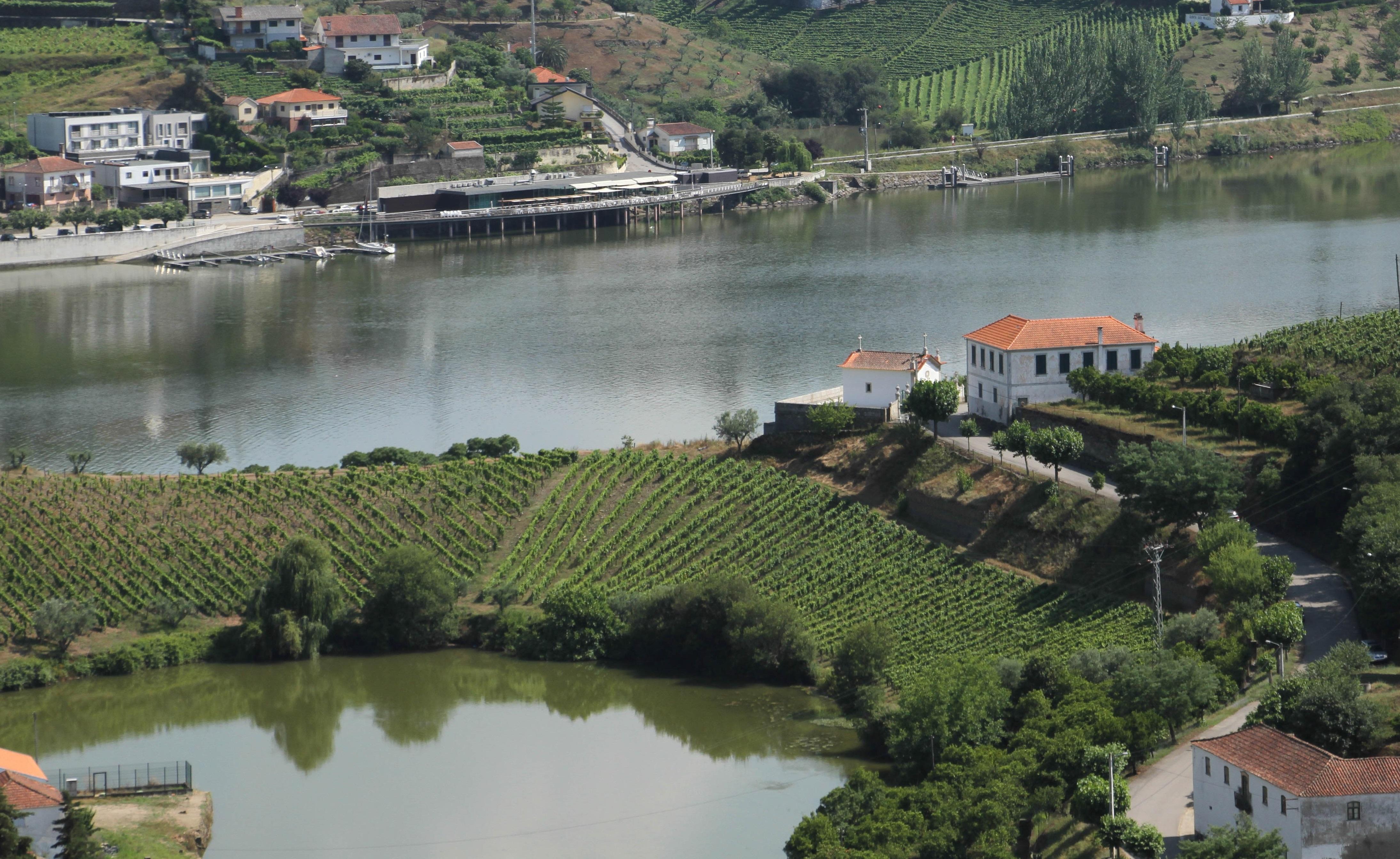 Hotel Folgosa Douro 아마마 외부 사진